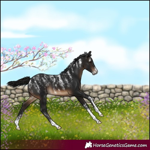 Horse Color:Powder White Gray Brown 