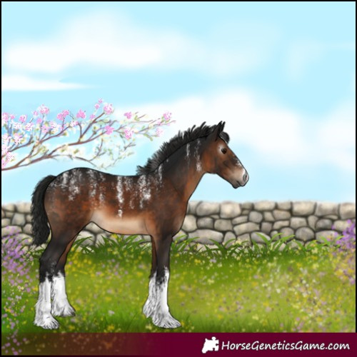 Horse Color:Powder White Gray White Spotted Brown 