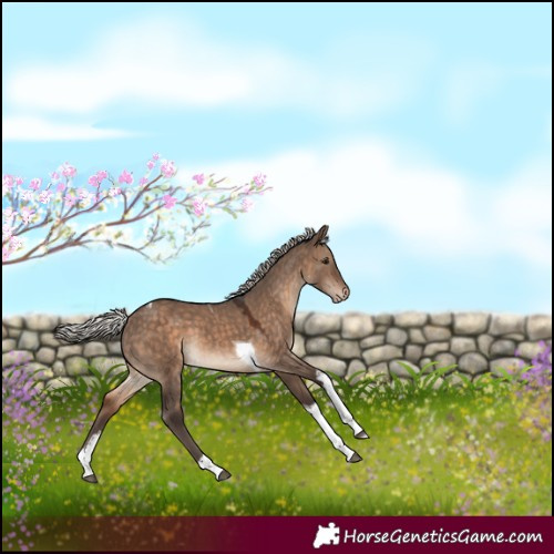 Horse Color:White Spotted Silver Brown Dun Tobiano Varnish 