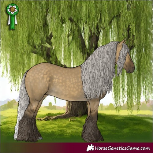 Horse Color:Silver Buckskin Dun 