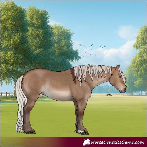 Horse Color:Silver Brown Dun Rabicano 
