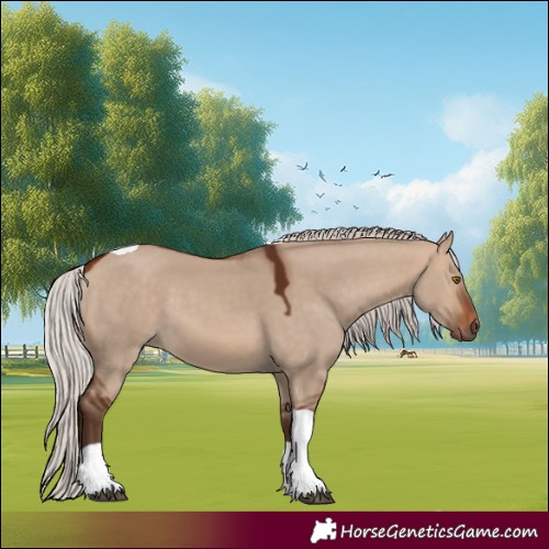 Horse Color:Silver Brown Dun Tobiano 