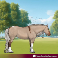 Horse Color:Silver Brown Dun Tobiano
