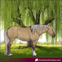 Horse Color:Silver Buckskin Dun Tobiano Rabicano 