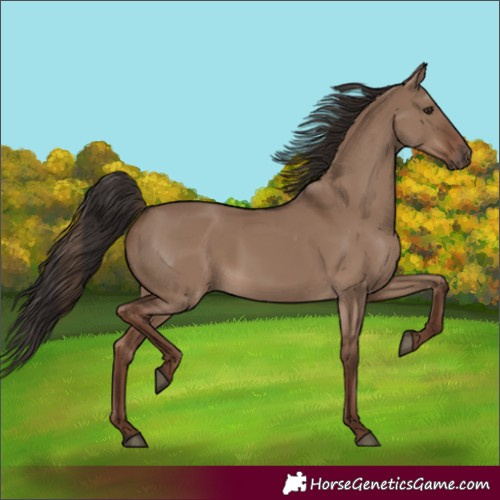 Horse Color:Liver Red Dun 