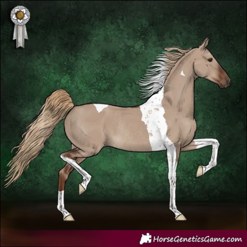 Horse Color:Liver Red Dun Tobiano Rabicano 