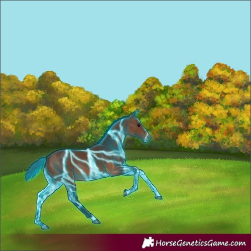 Horse Color:Thunderstruck Brown