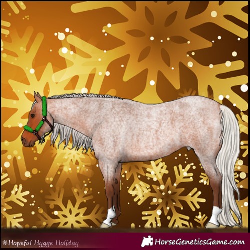 Horse Color:Silver Bay Roan 