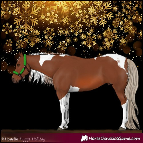 Horse Color:Chestnut Tobiano 