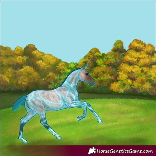 Horse Color:Thunderstruck Brown Roan 