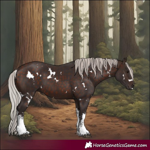 Horse Color:White Spotted Silver Brown 