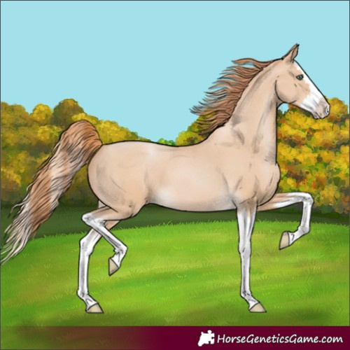Horse Color:Smoky Black Pearl Splash 