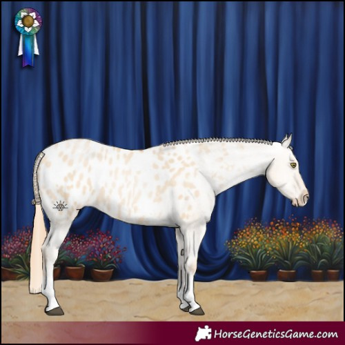 Horse Color:Red Dun Pearl Sabino Blanket Rabicano 