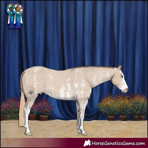 Horse Color:Smoky Creme Sabino Varnish 