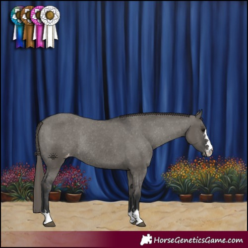 Horse Color:Grullo Varnish Rabicano 