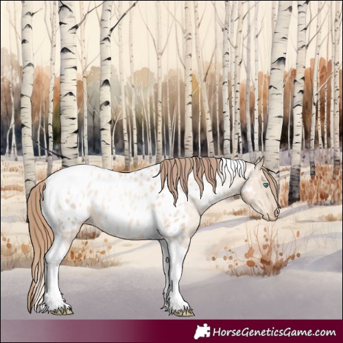 Horse Color:Amber Champagne Pearl Dun Tobiano Appaloosa Rabicano