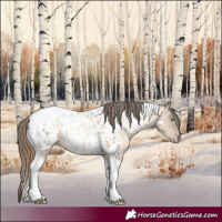 Horse Color:Amber Champagne Pearl Dun Tobiano Near Leopard Rabicano