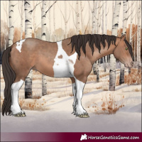 Horse Color:Sable Champagne Tobiano
