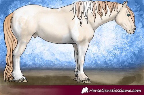 Horse Color:Amber Cream Champagne Pearl Mushroom Tobiano 