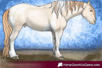 Horse Color:Amber Cream Champagne Pearl Mushroom Tobiano