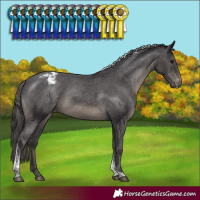 Horse Color:Smoky Black Sabino Tobiano Varnish 
