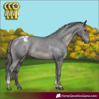 Horse Color:Smoky Black Sabino Tobiano Appaloosa