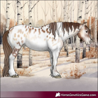 Horse Color:Gray Blue Onyx Pearl Tobiano Appaloosa 