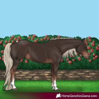 Horse Color:Liver Chestnut Sabino Tobiano Rabicano 