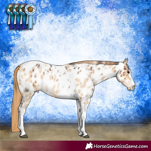 Horse Color:Brown Sabino Near Leopard  and Buckskin Pearl Tobiano Near Leopard 