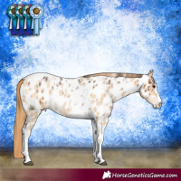 Horse Color:Brown Sabino Near Leopard  and Buckskin Pearl Tobiano Near Leopard 