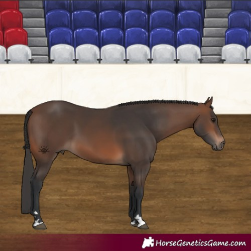 Horse Color:Brown 