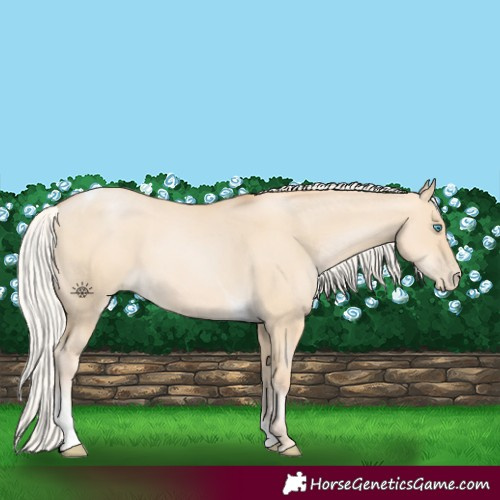 Horse Color:Silver Smoky Grullo Pearl Tobiano