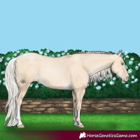 Horse Color:Silver Smoky Grullo Pearl Tobiano