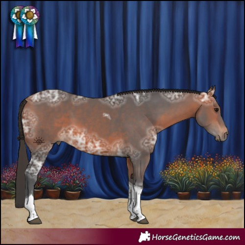 Horse Color:Bay Ice Tobiano 