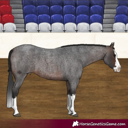 Horse Color:Brown Roan Splash 