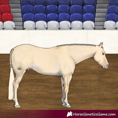 Horse Color:Gold Cream Champagne Dun Tobiano 
