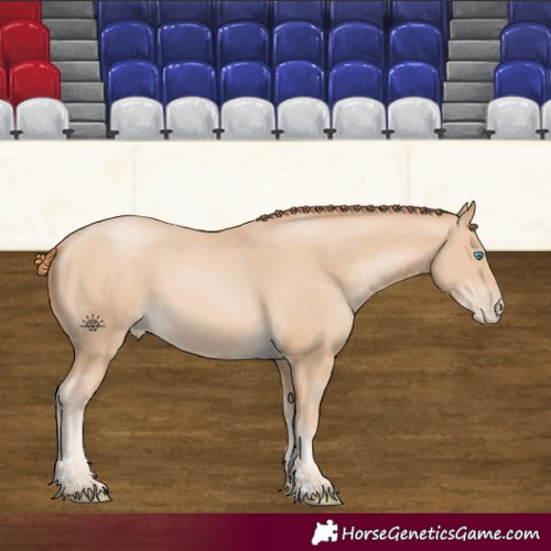 Horse Color:Buckskin Pearl 