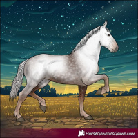 Horse Color:Gray Chestnut 