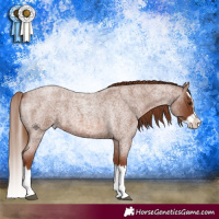 Horse Color:Red Roan Splash