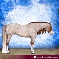 Horse Color:Red Roan Splash