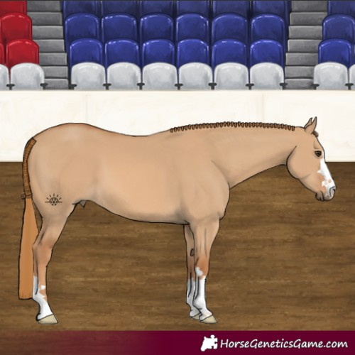 Horse Color:Red Dun 
