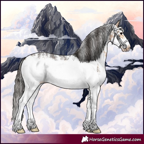 Horse Color:Buckskin Sabino Frame