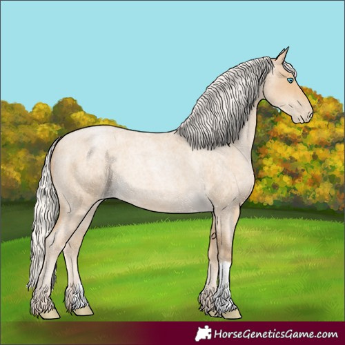 Horse Color:Silver Smoky Blue Roan Pearl 