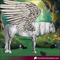 Horse Color:White Spotted Black Sabino Frame Near Leopard 