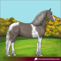 Horse Color:Silver Smoky Black Tobiano 