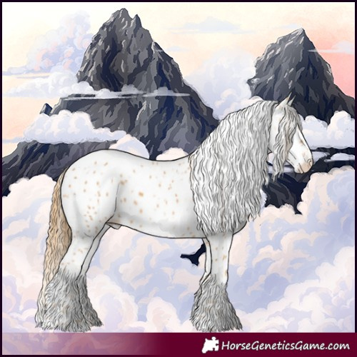 Horse Color:Chestnut Appaloosa 