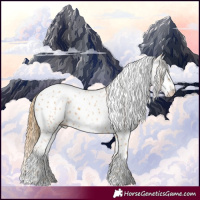 Horse Color:Chestnut Appaloosa 
