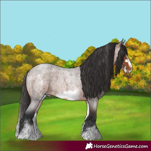 Horse Color:White Spotted Brown Roan Frame 