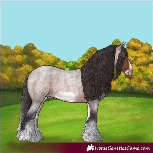 Horse Color:White Spotted Brown Roan Frame 