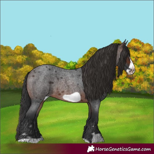 Horse Color:Brown Roan Frame